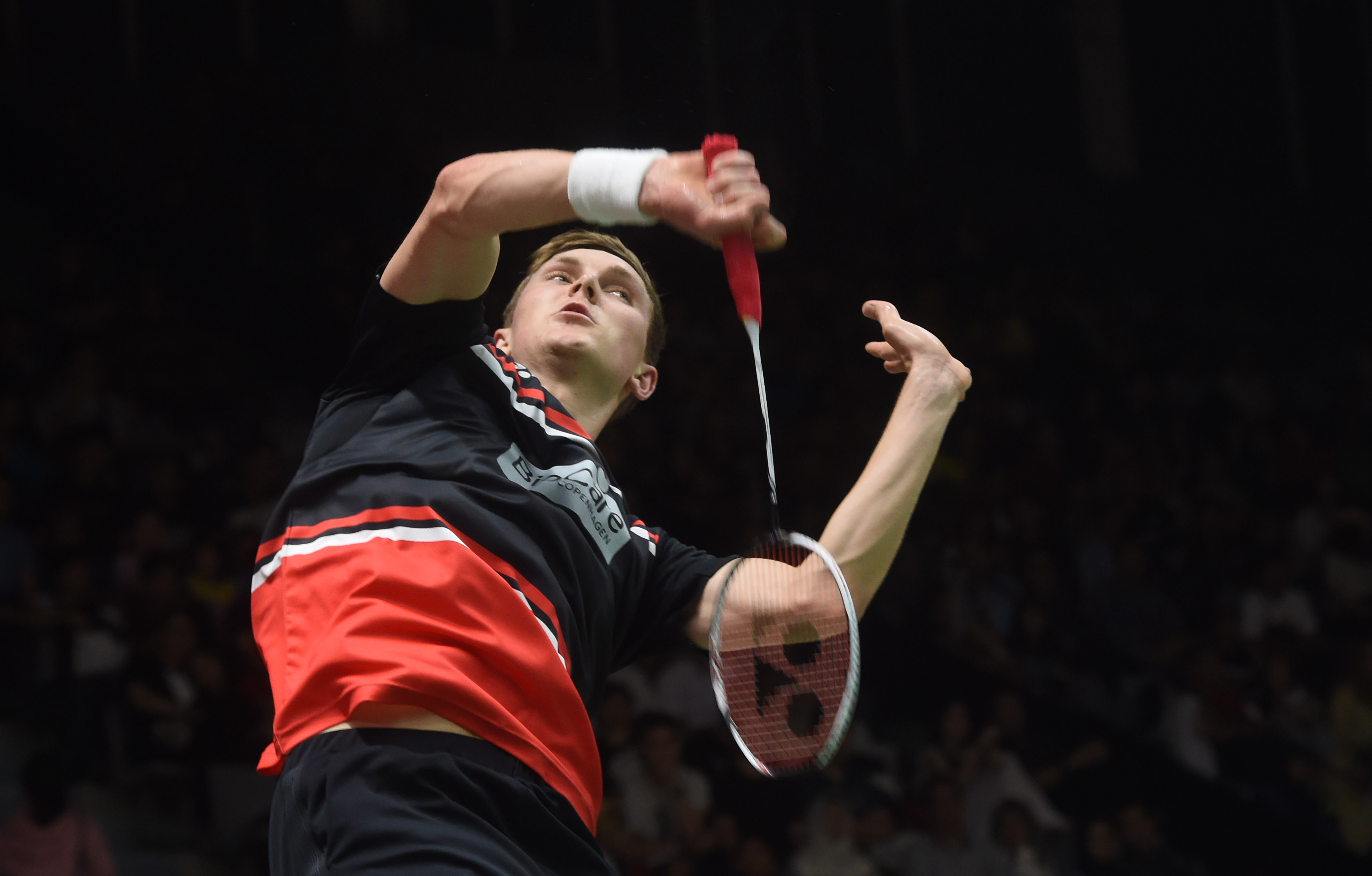 王昶的快乐 王昶的快乐