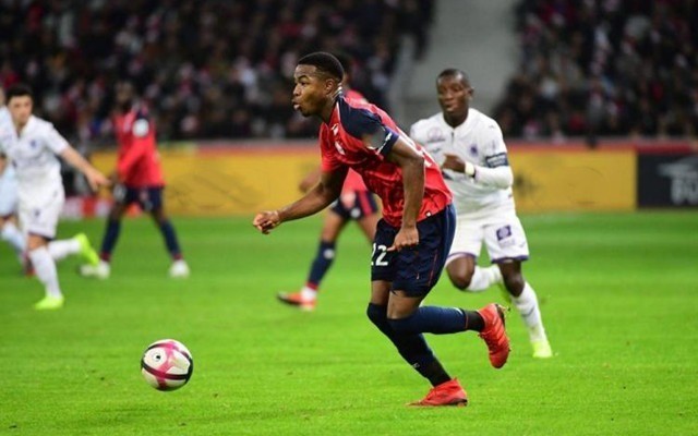 提供了思考 提供了思考