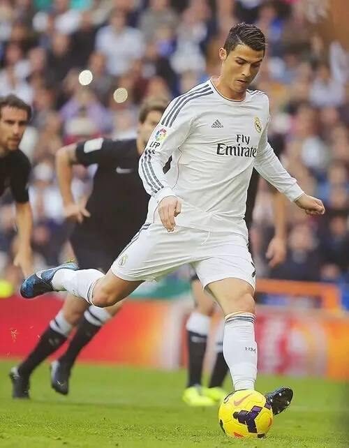 不仅吸引了 不仅吸引了