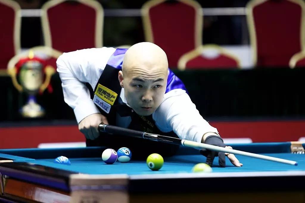 术多样性 术多样性