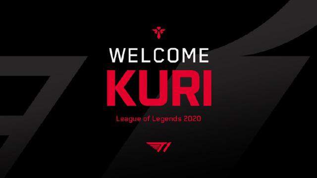 格受到高度 格受到高度